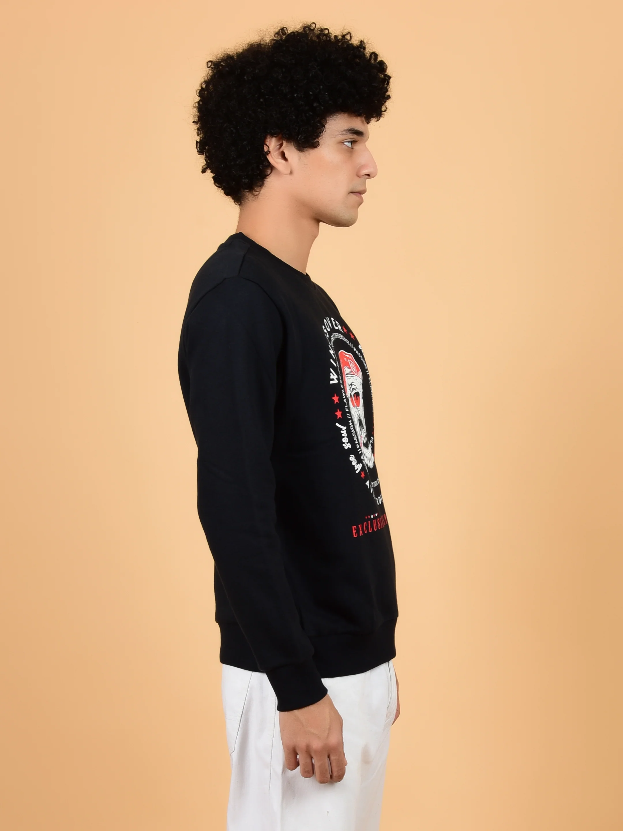 Flawless Unisex Wingsover Black Sweatshirt - Image 6